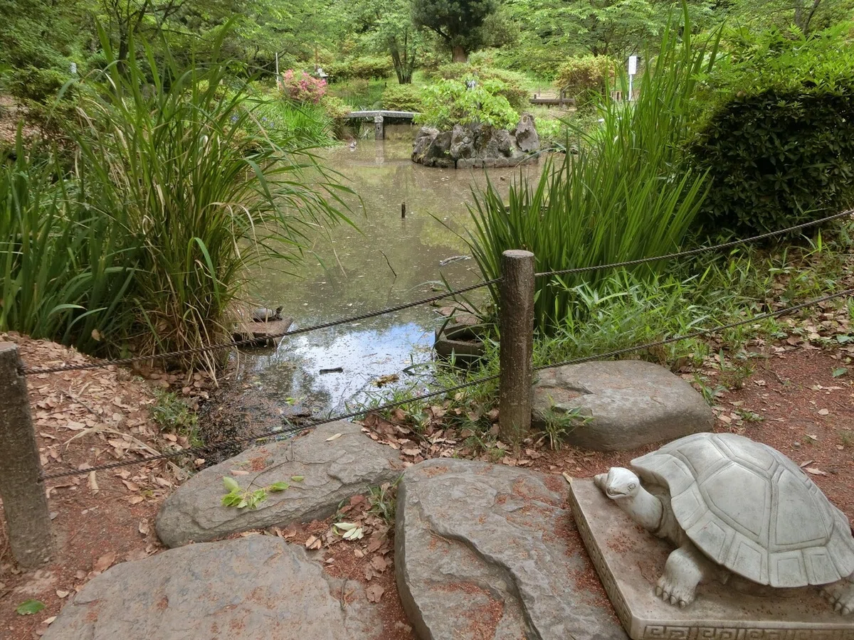 画像40