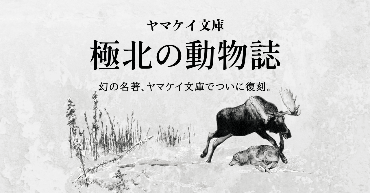 星野道夫が名作と呼んだ 極北の動物誌 がヤマケイ文庫で復刻 12 16 刊行記念youtubeライブ開催 ヤマケイの本 Note