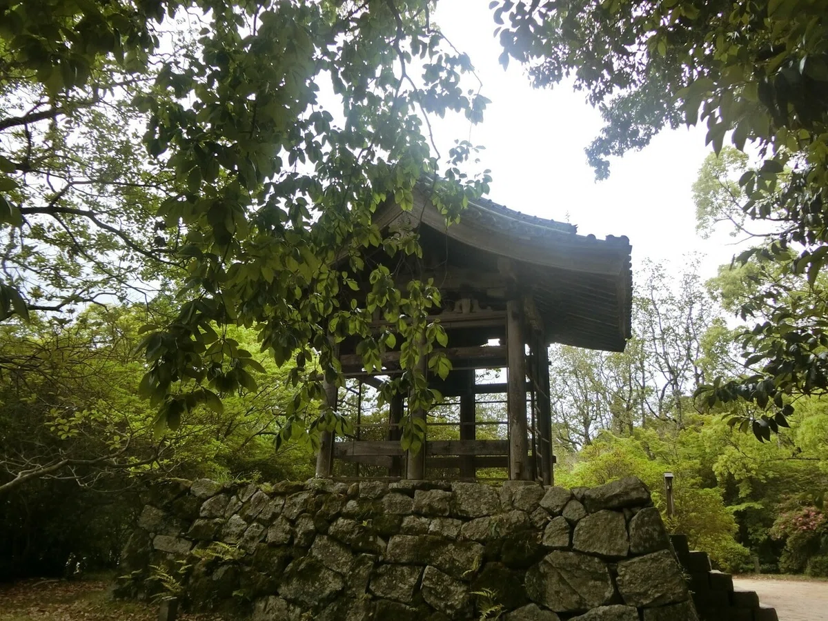 画像6