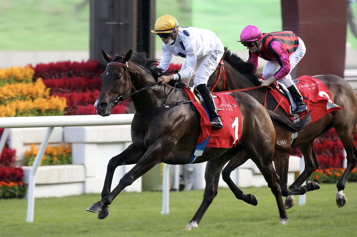香港競馬 ゴールデンシックスティ ロマンチックウォリアー 直筆サイン 