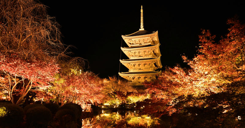たびごころ。〈京都〉東寺ライトアップ