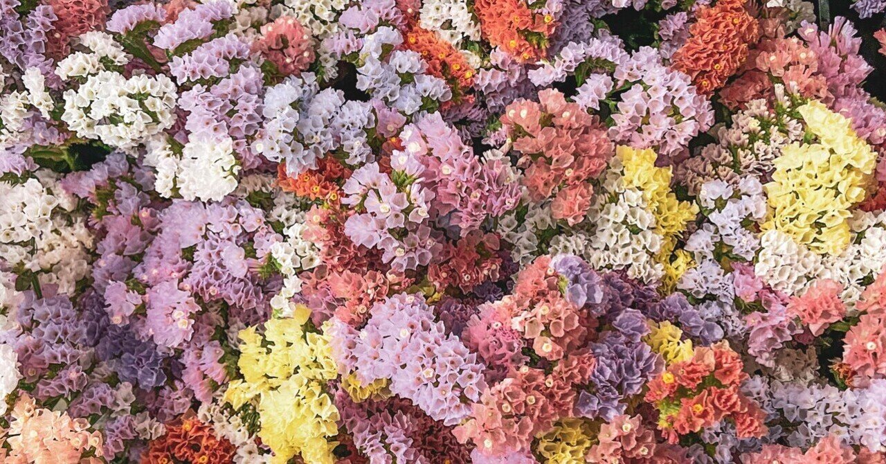 ドライフラワーにしやすいお花の定期便」12月号｜greenpiece