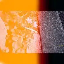 二木