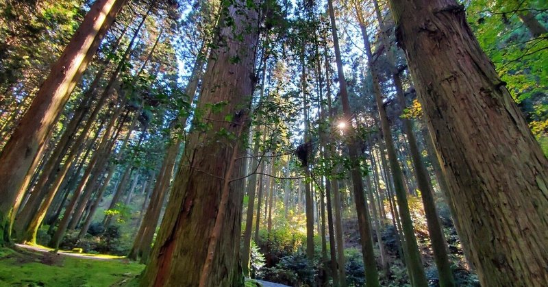 光の柱 の定番タグ記事一覧 Note つくる つながる とどける