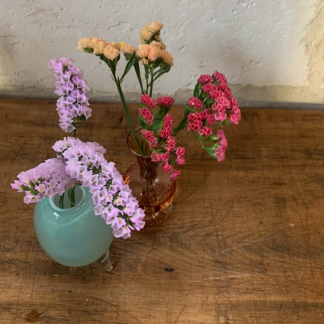 ドライフラワーにしやすいお花の定期便」12月号｜greenpiece