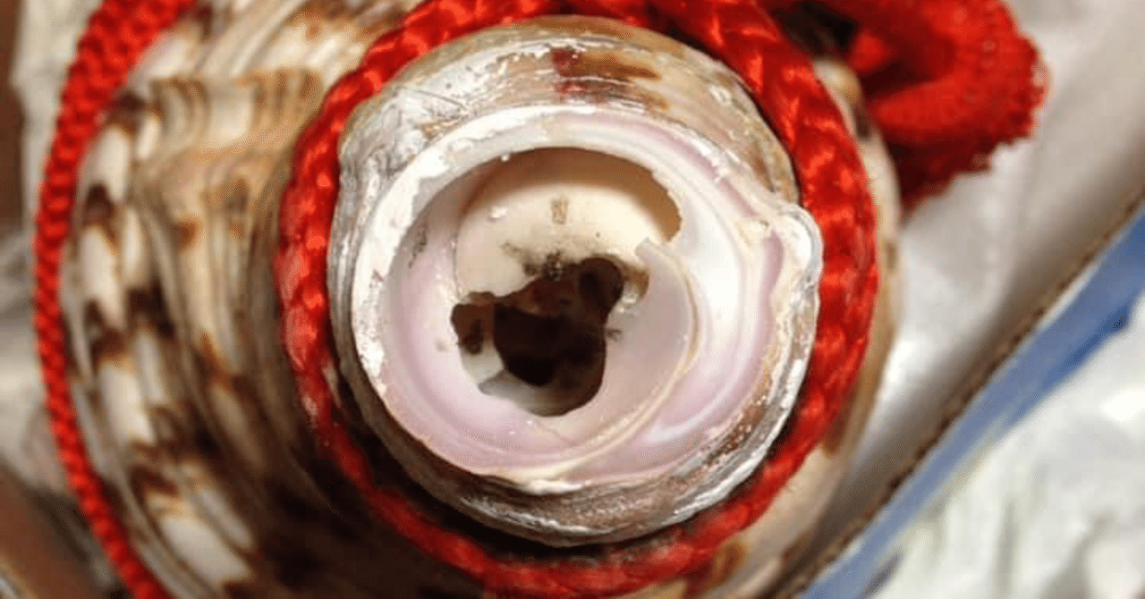 法螺貝談義（第1話）｜辛島正英（不動山大聖院）