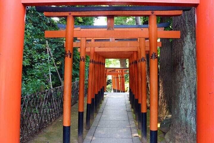 画像7