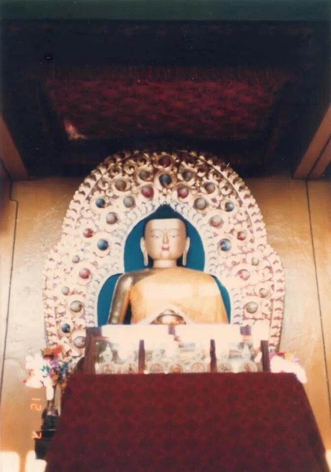 画像25