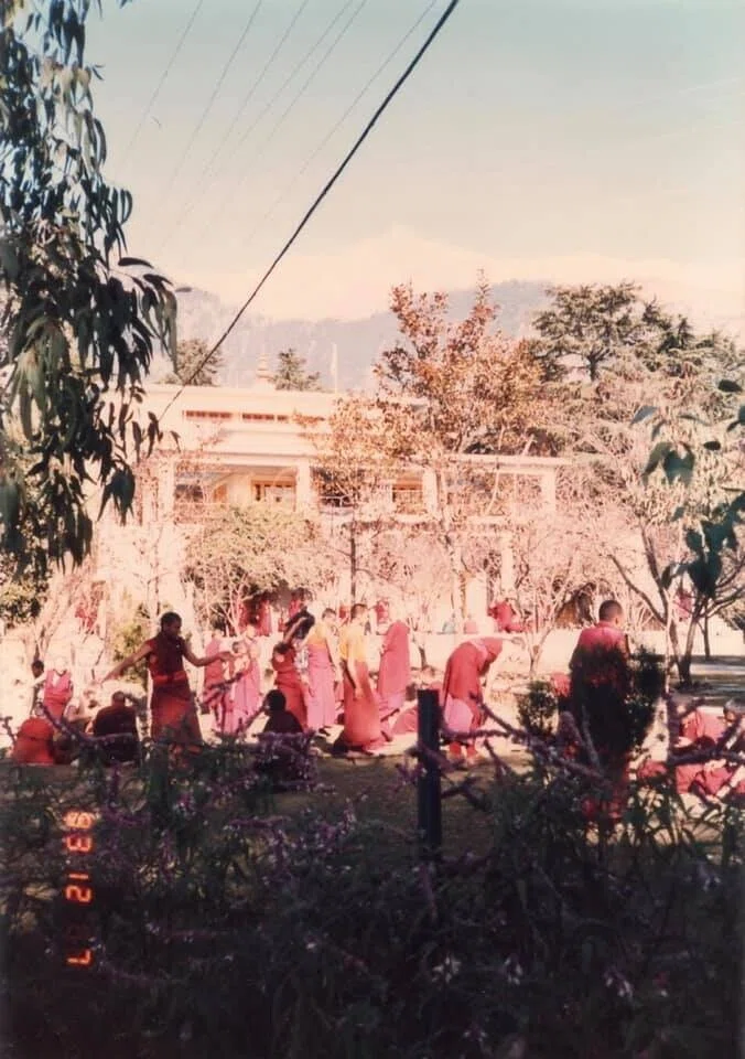 画像25