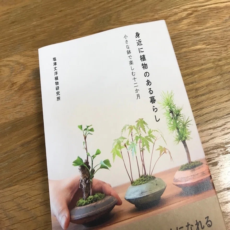 盆栽は難しくない。たぶん、きっと。｜間詰ちひろ