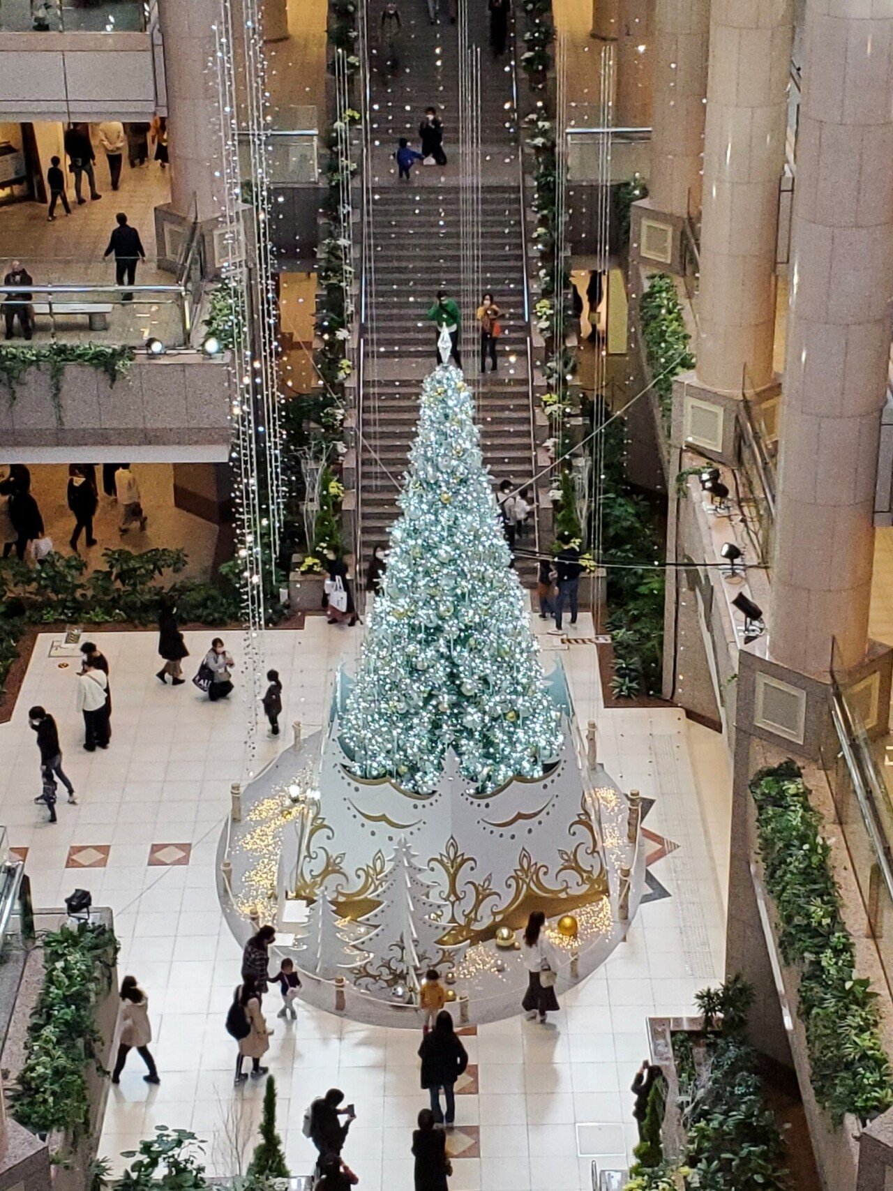 思い出の写真シリーズ８回目 クリスマスバージョン 今年のみなとみらいのランドマークプラザ１階のクリスマスツリー です これは４階か５階から撮影したと思いますが それでもとても大きく迫力がありました ツリー 打越佑介 Yusuke Uchikoshi Note