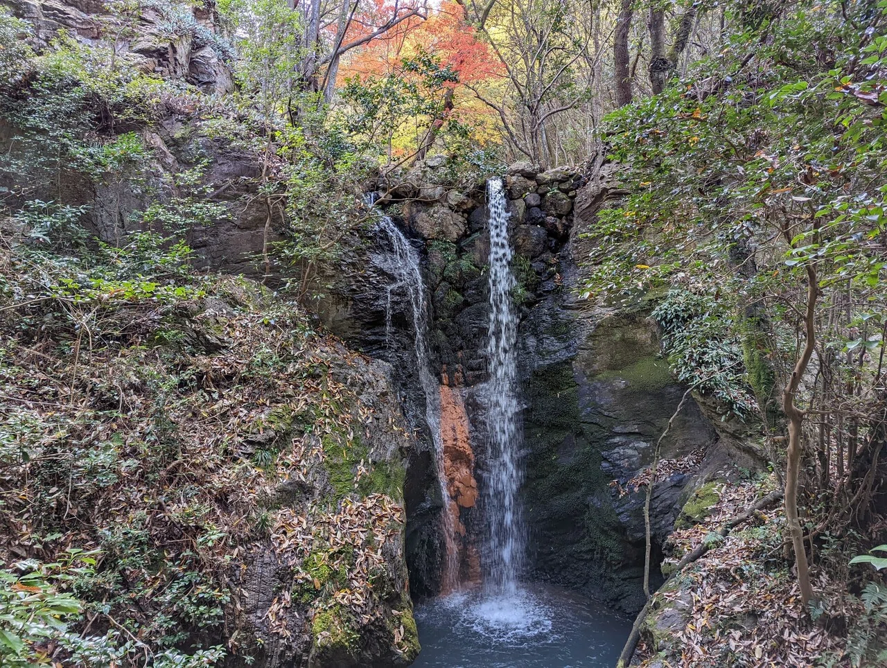 画像18