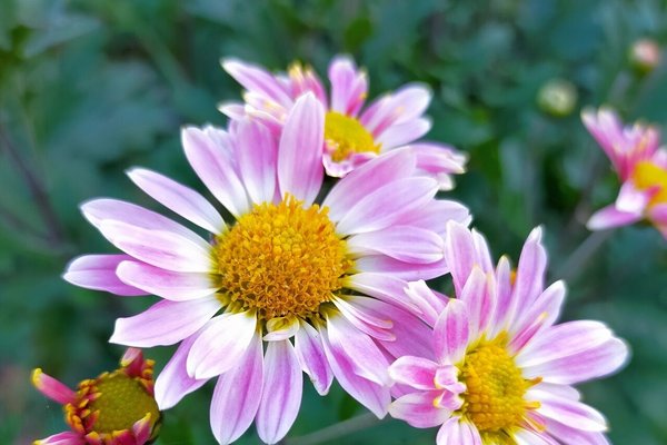 もうダメだがスタートの合図 の新着タグ記事一覧 Note つくる つながる とどける もうダメだがスタートの合図 の新着タグ記事一覧 Note つくる つながる とどける