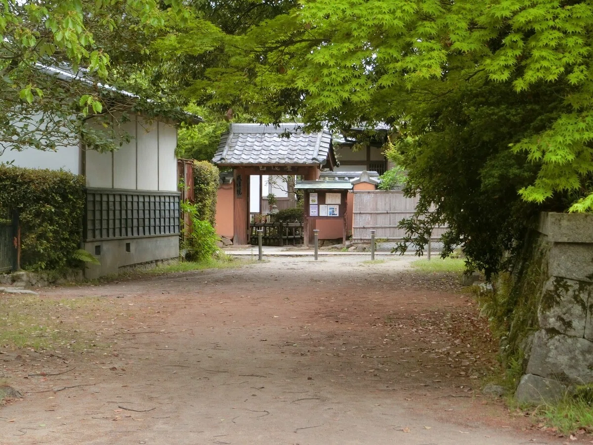 画像11
