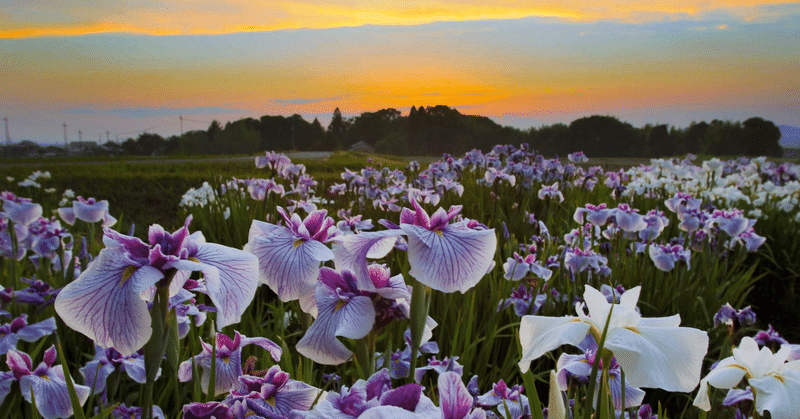 2021年の「絶景」、集めてみました