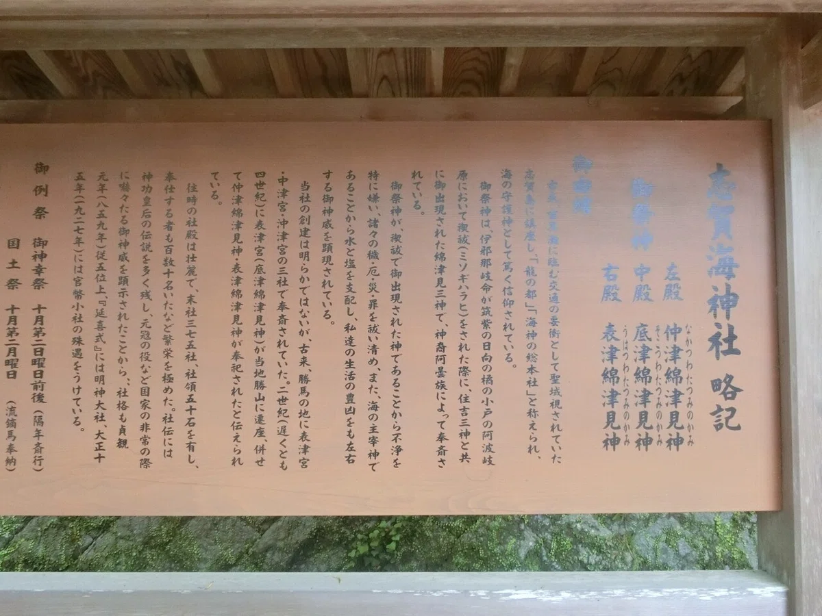 画像7