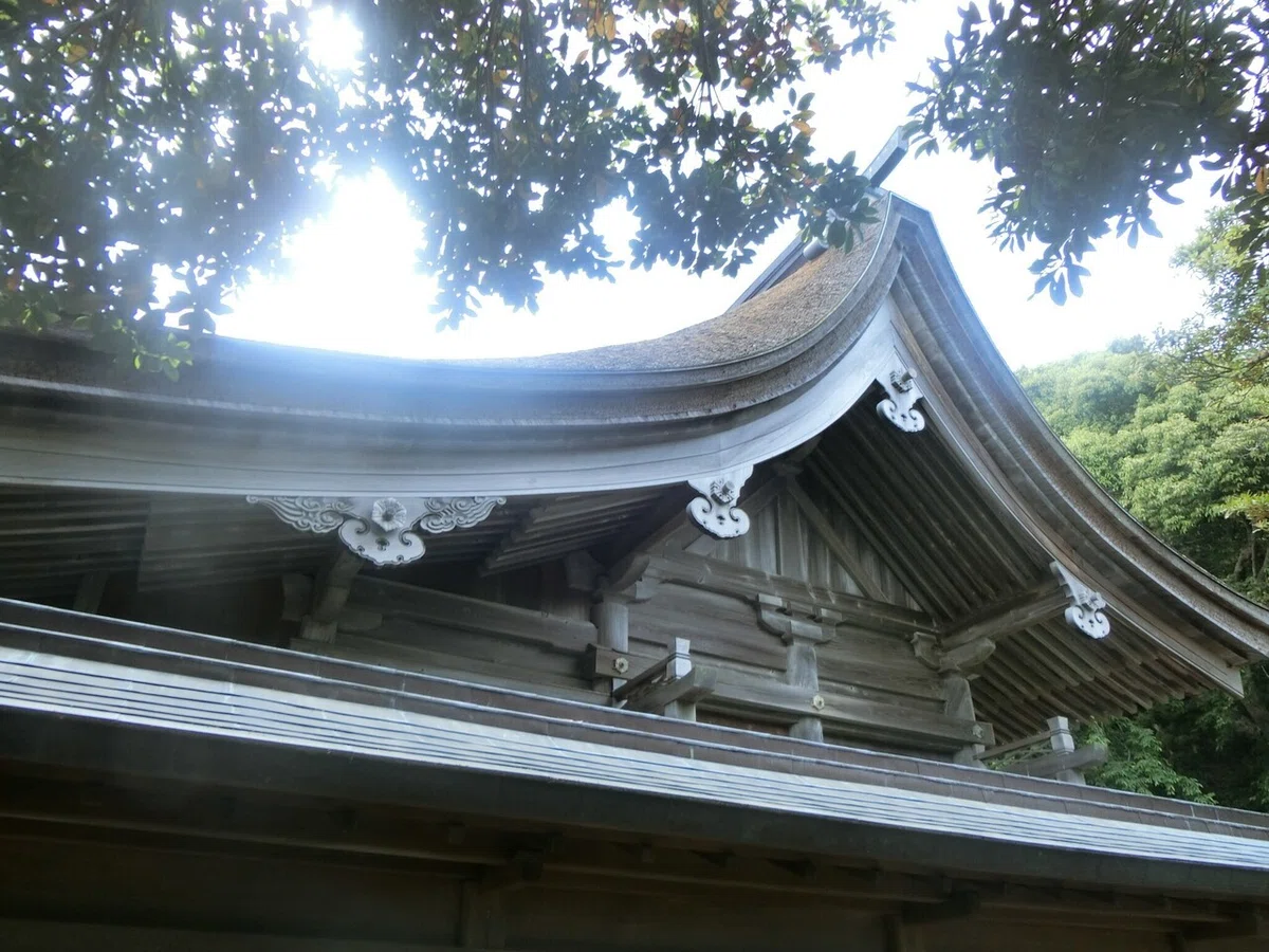 画像12