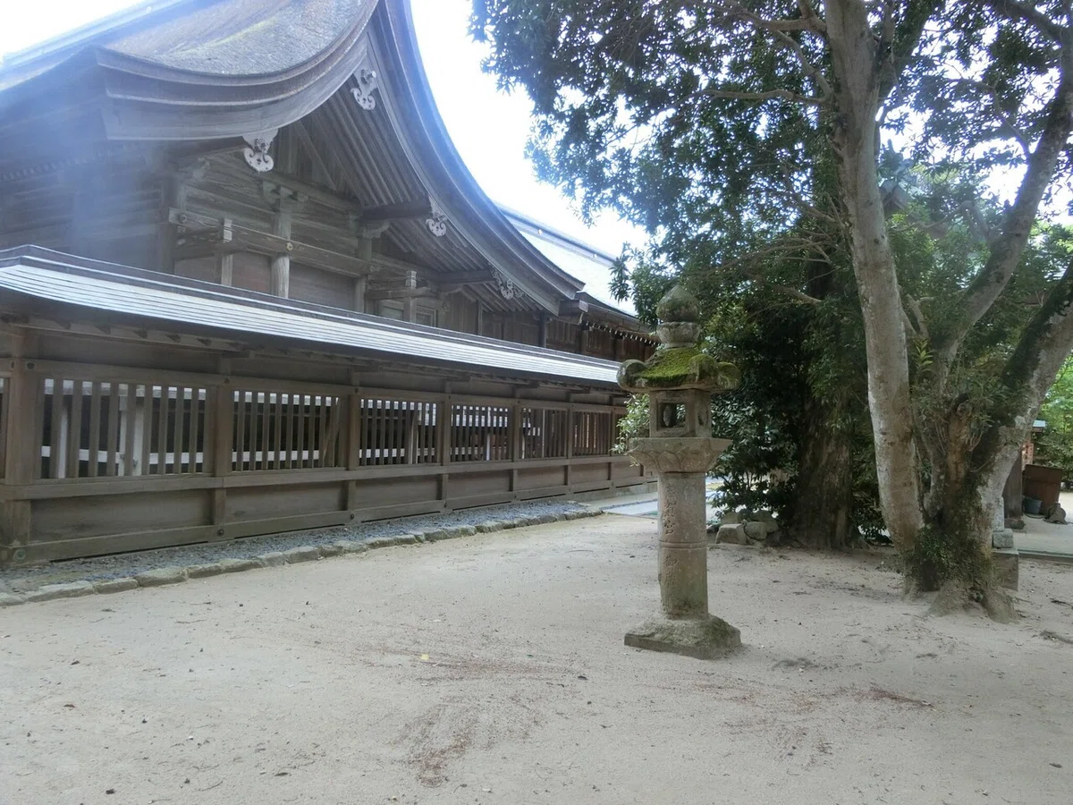 画像19