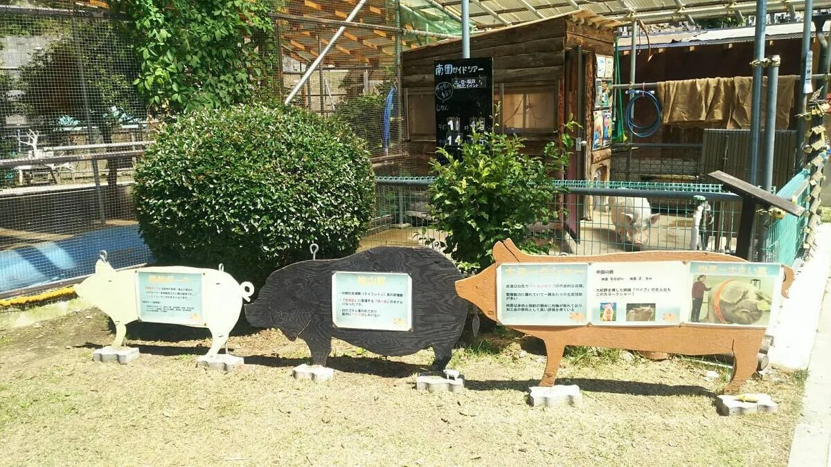 画像33
