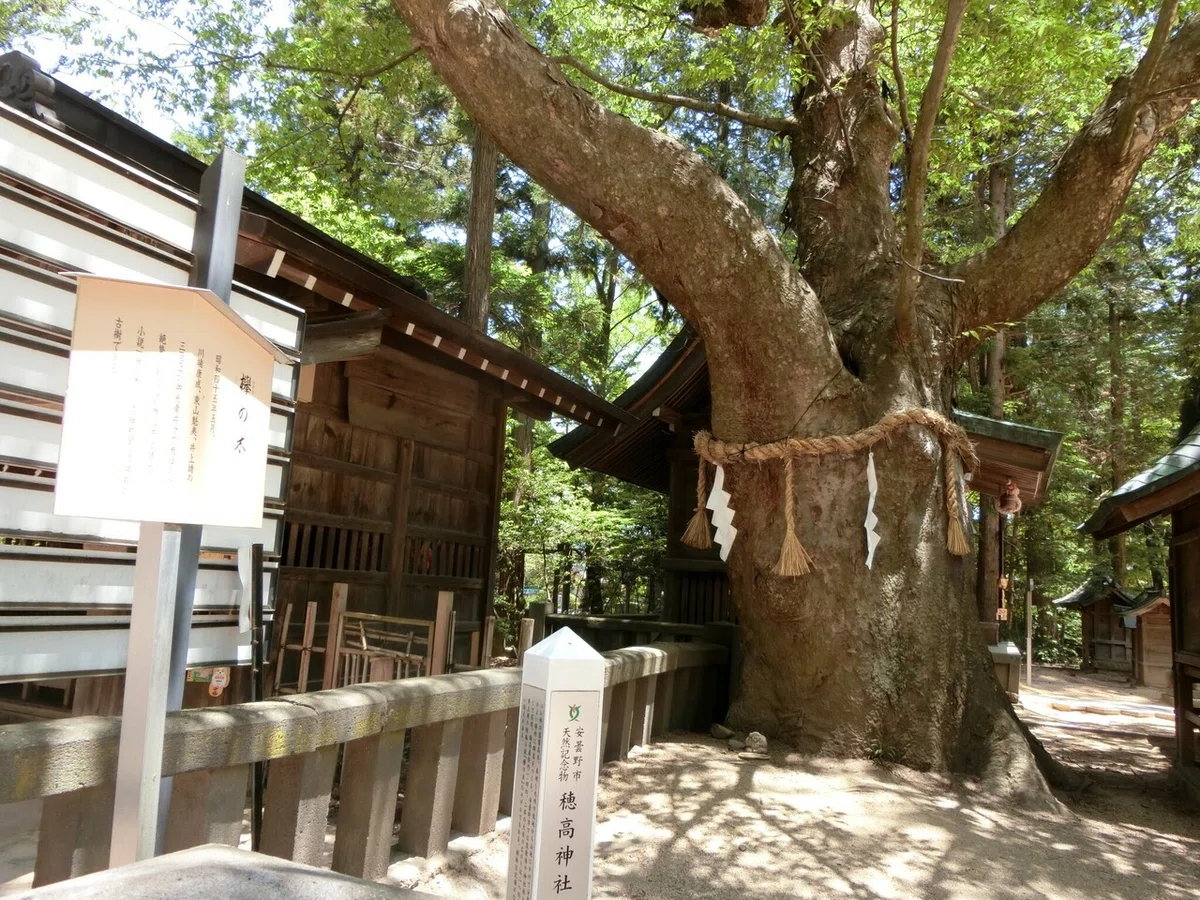 画像41