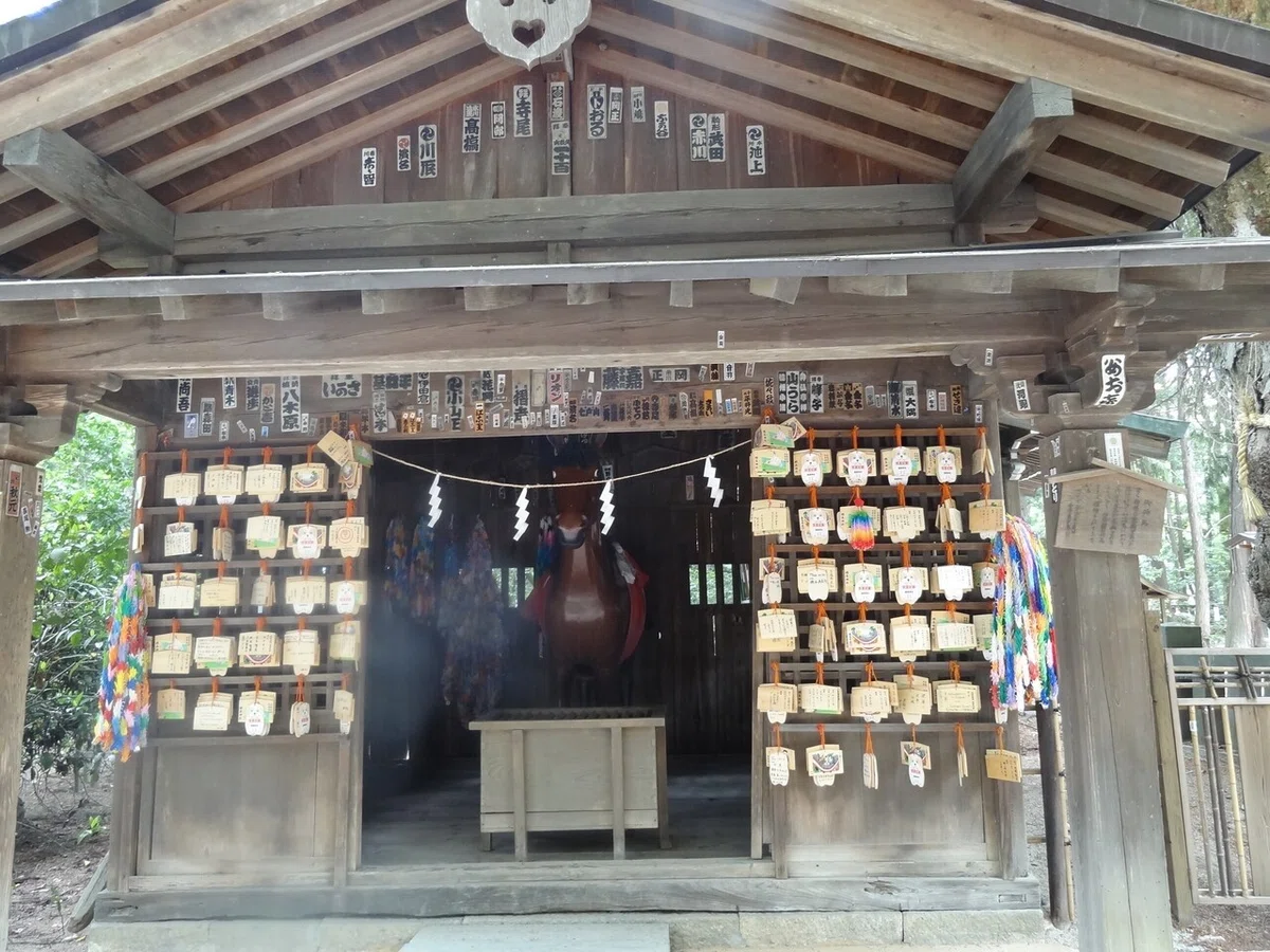 画像48