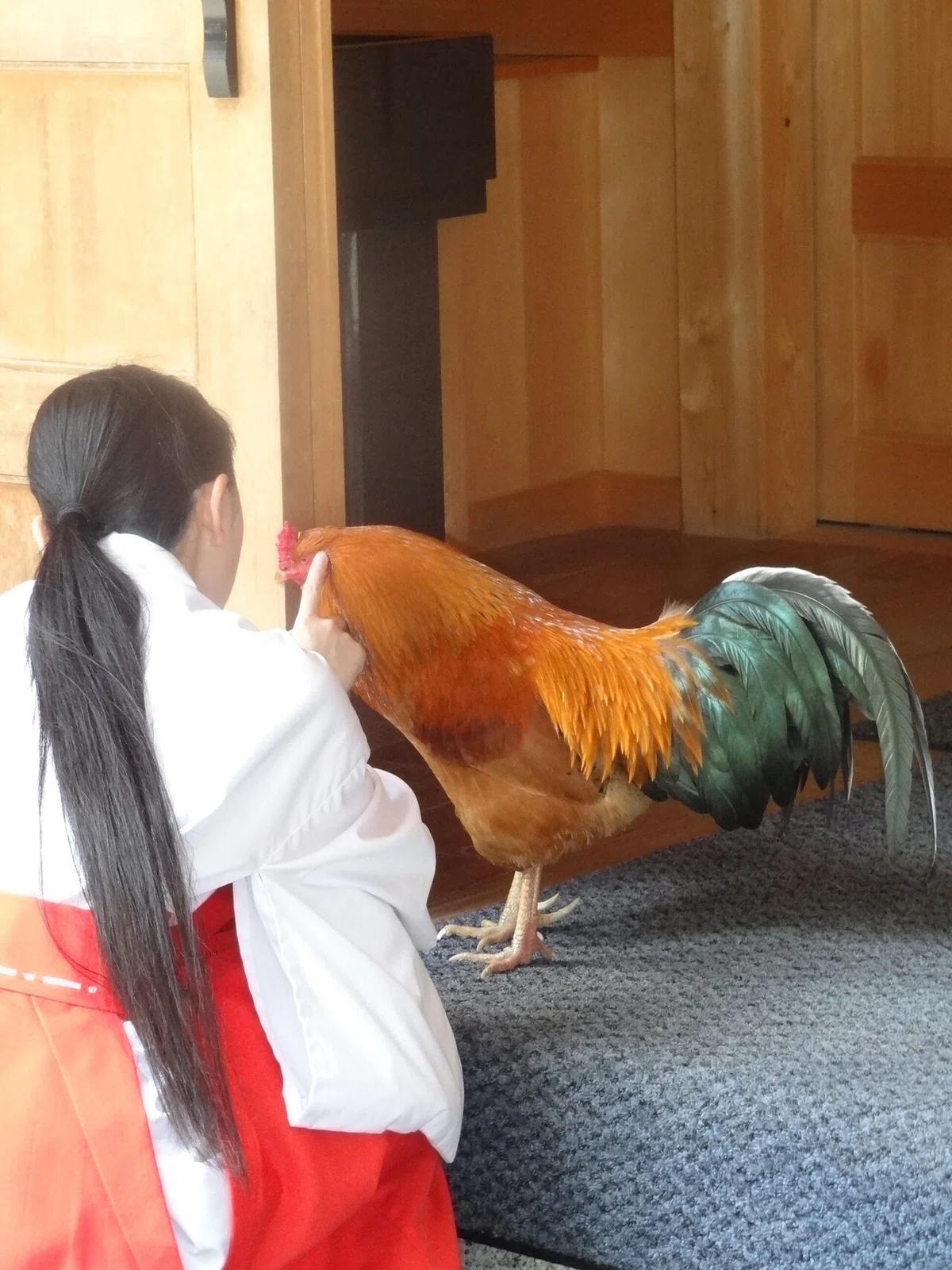 画像50