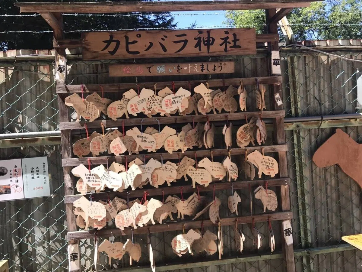 画像39