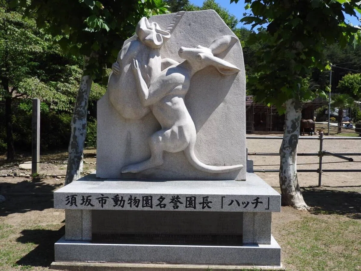 画像50