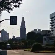 外骨