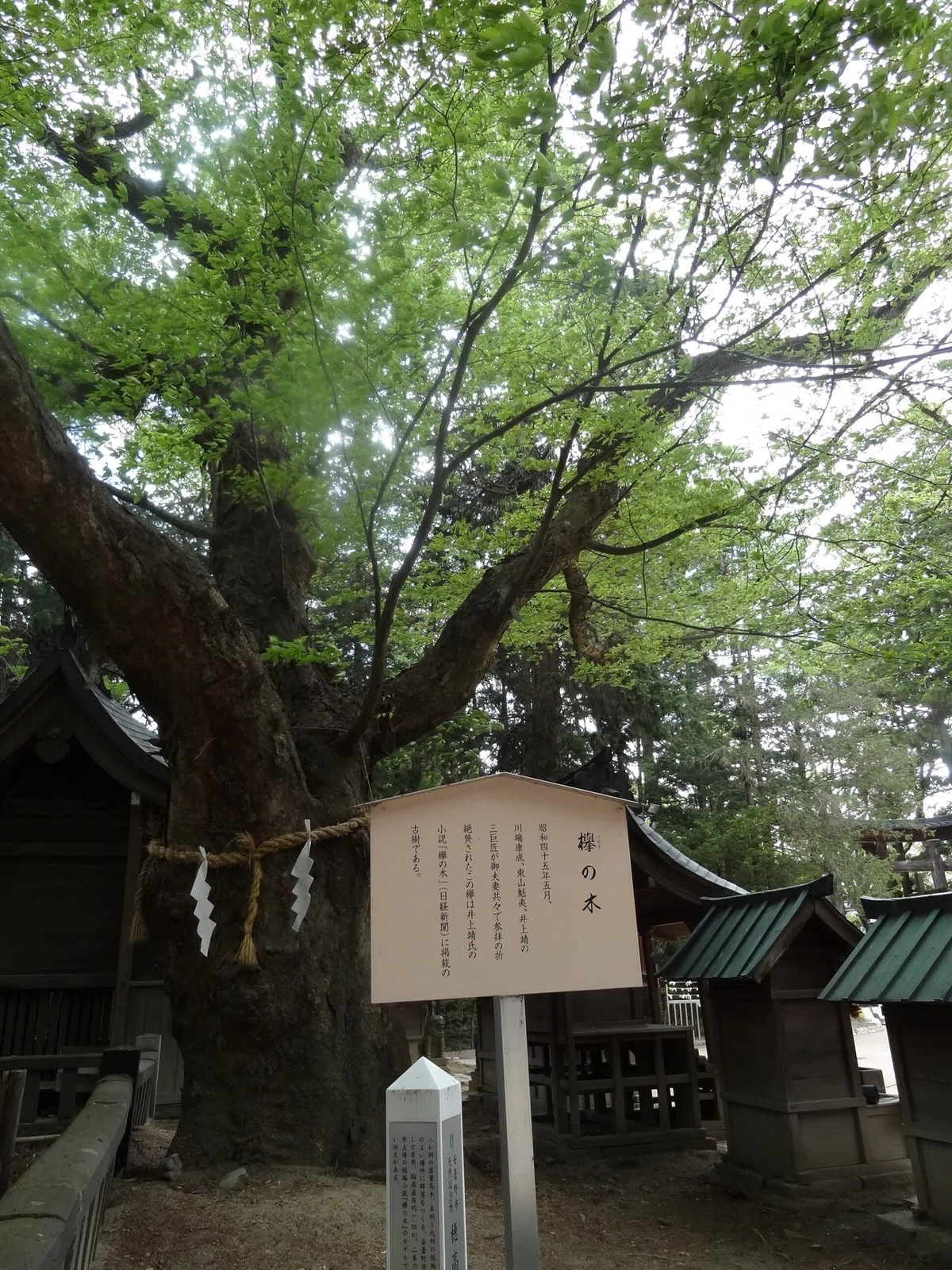 画像60