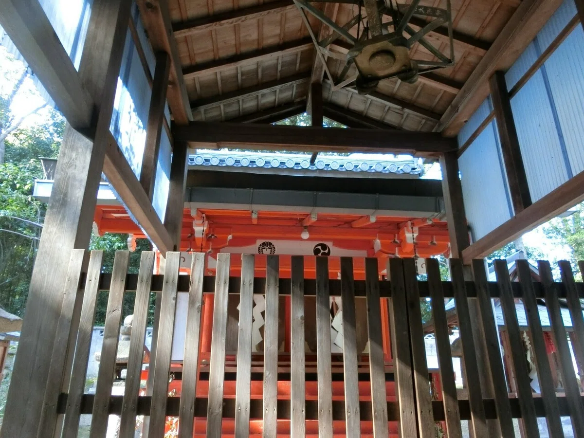 画像7