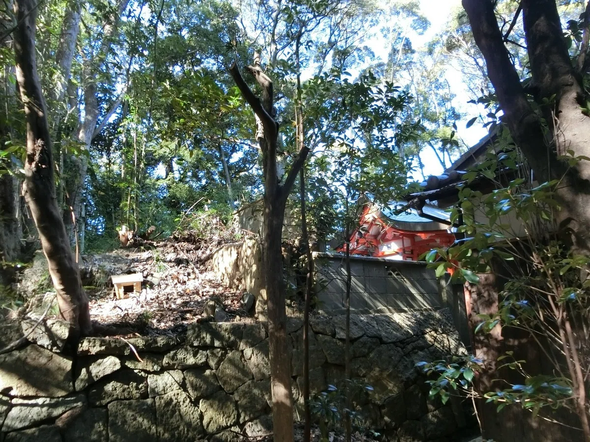 画像8