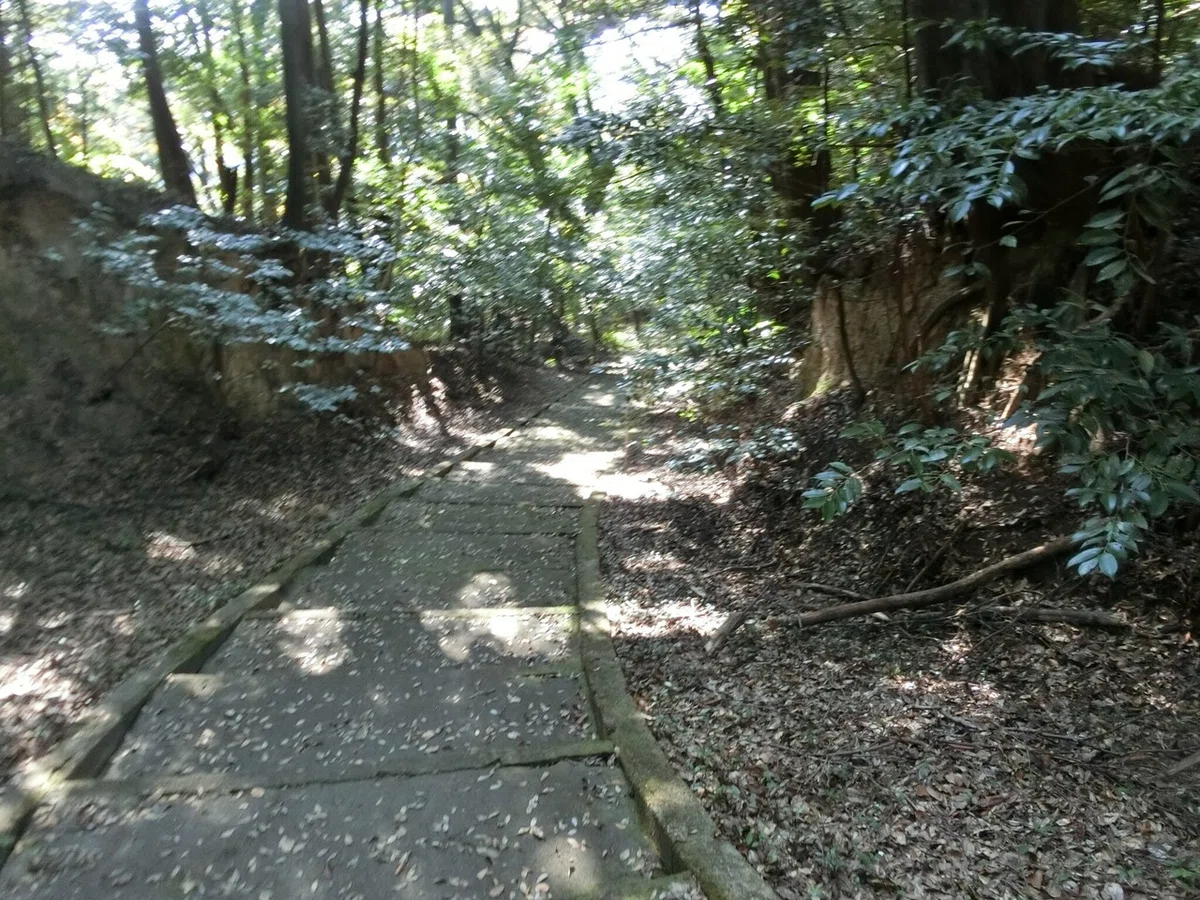画像12