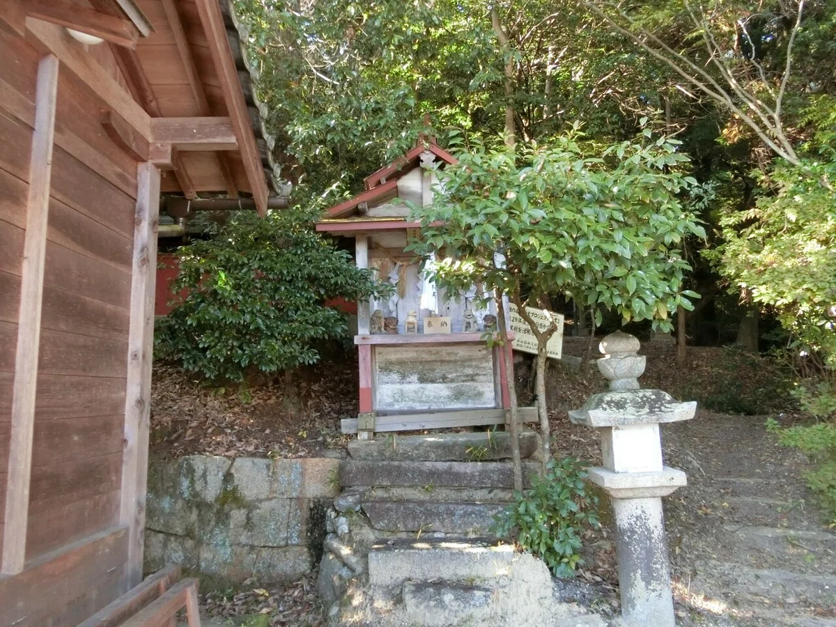 画像7