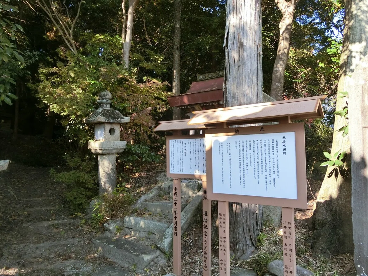 画像8