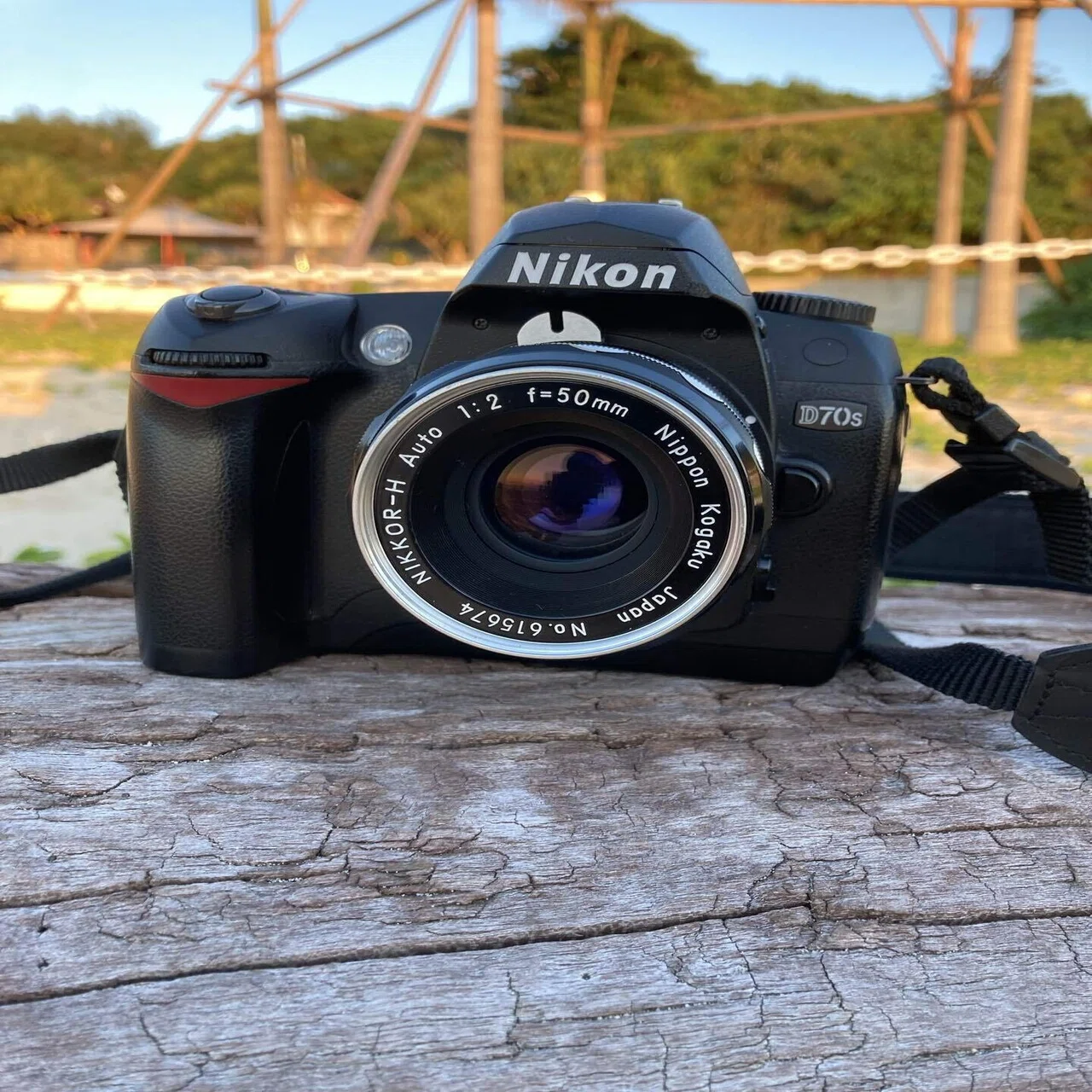 NIKON D70sでオールドレンズを｜ボールマウンテン