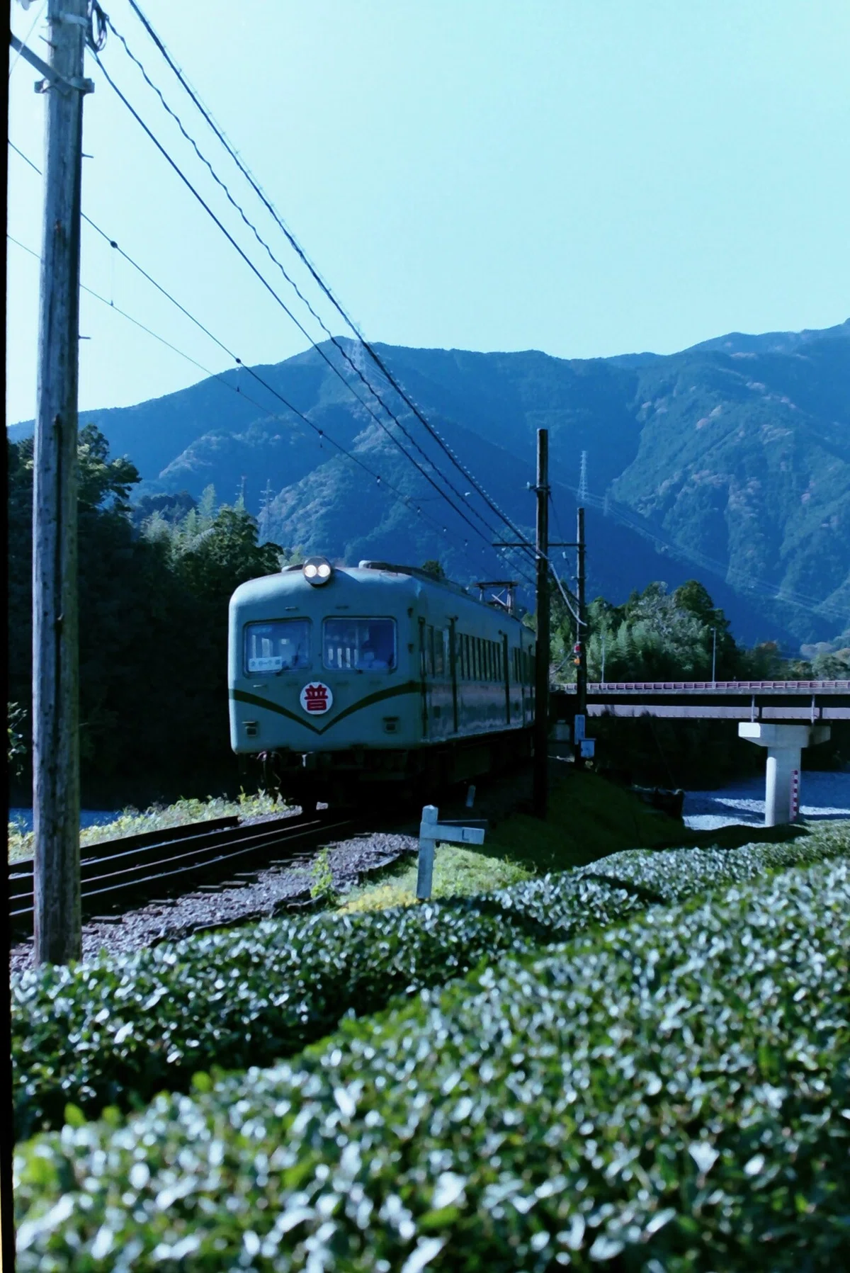 画像8