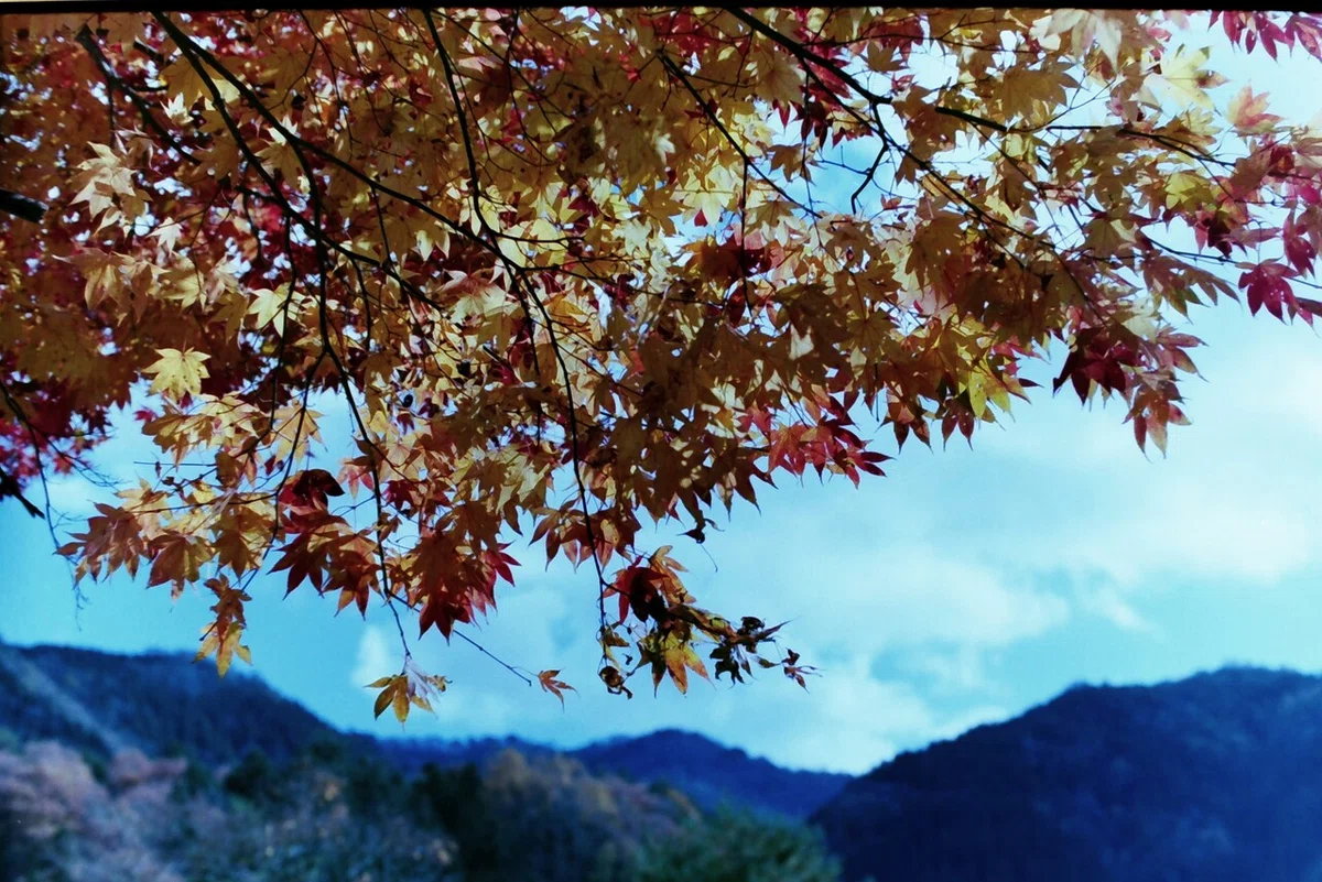 画像10