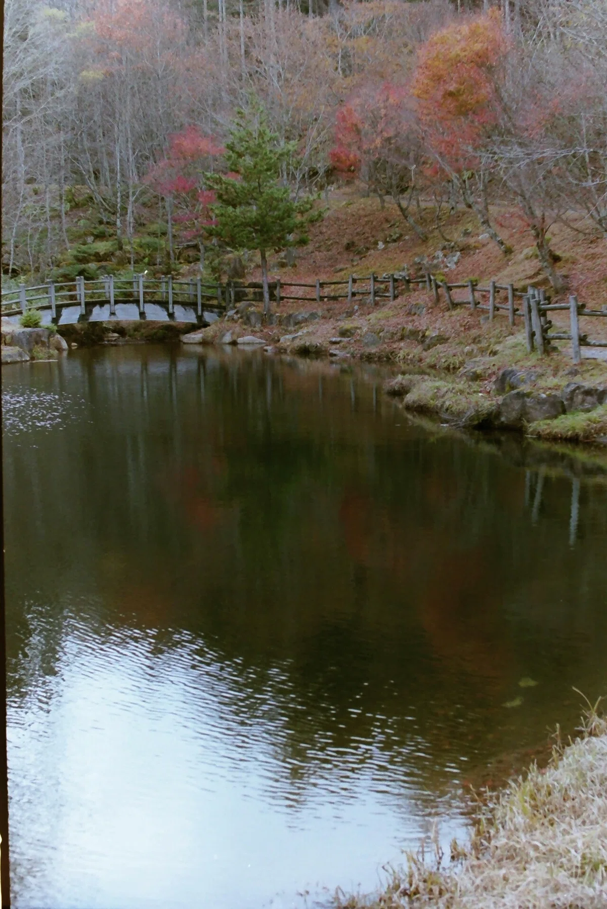 画像11