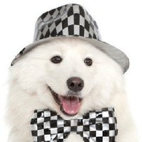 夢が叶って 散って 叶えようとする話 白井サモエド Note