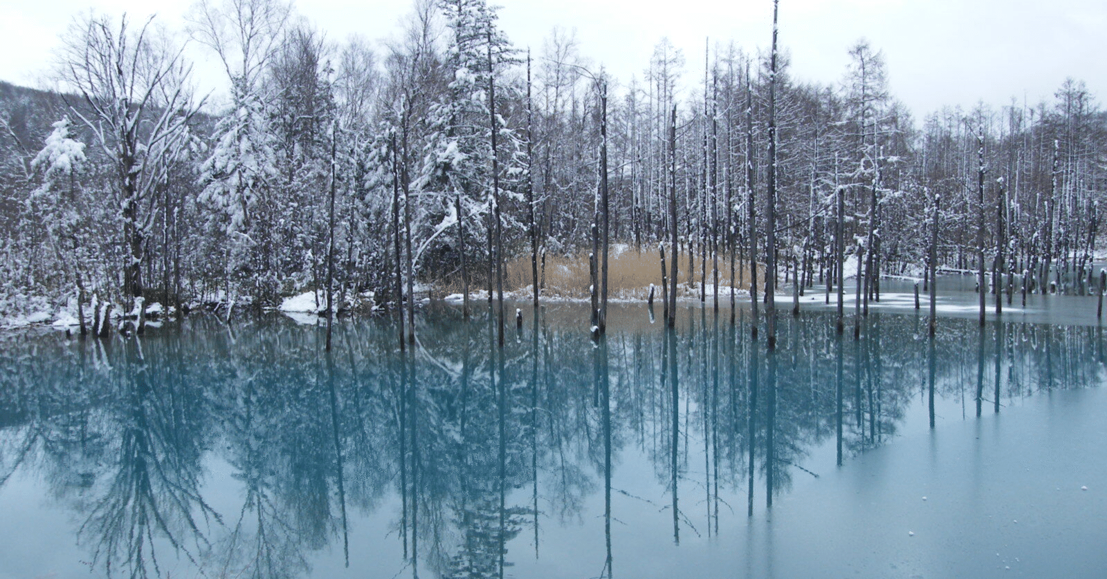 北海道観光といえば Jun Shikoda Note