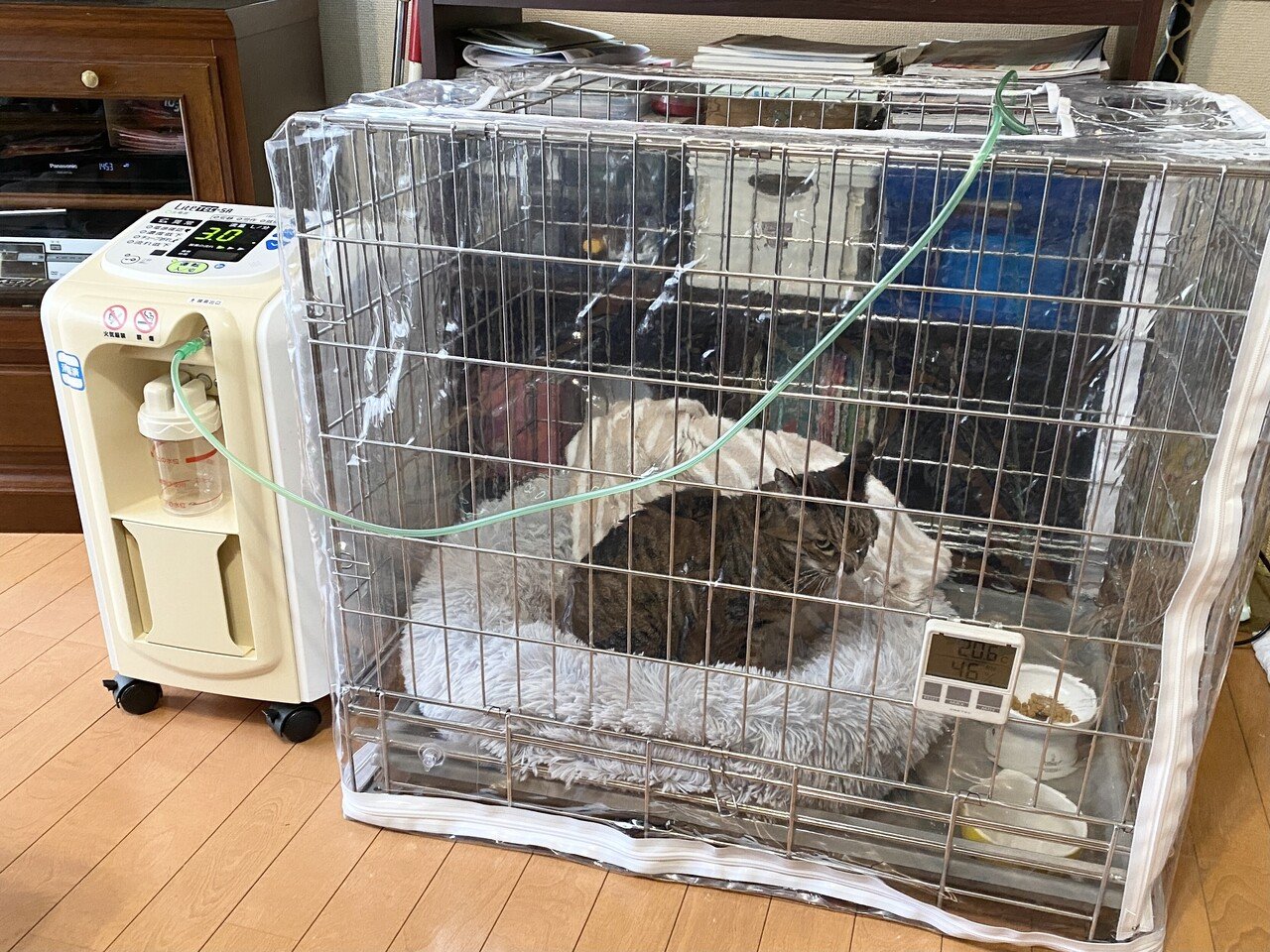 酸素ハウス 酸素室 ペット用酸素室 ゲージ 水色 可愛い酸素室