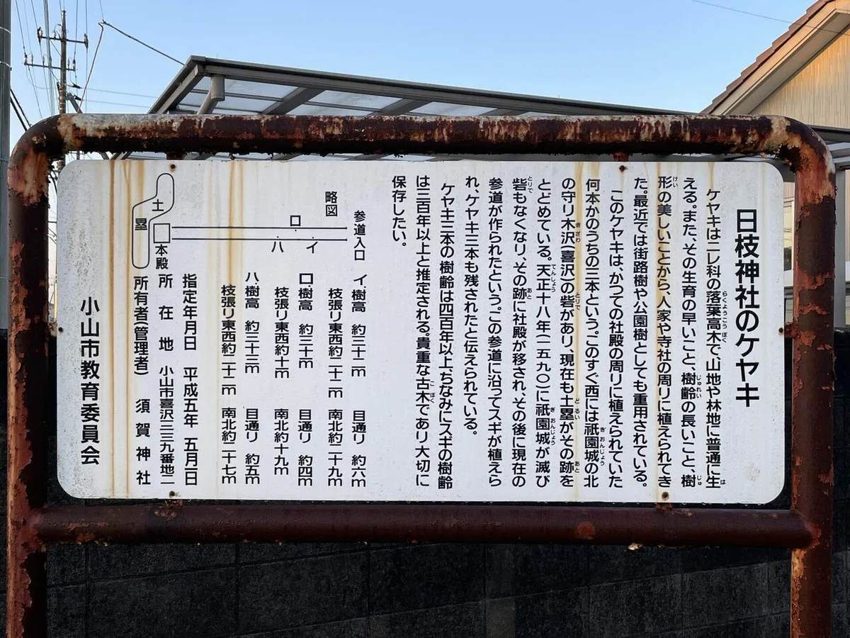 画像15