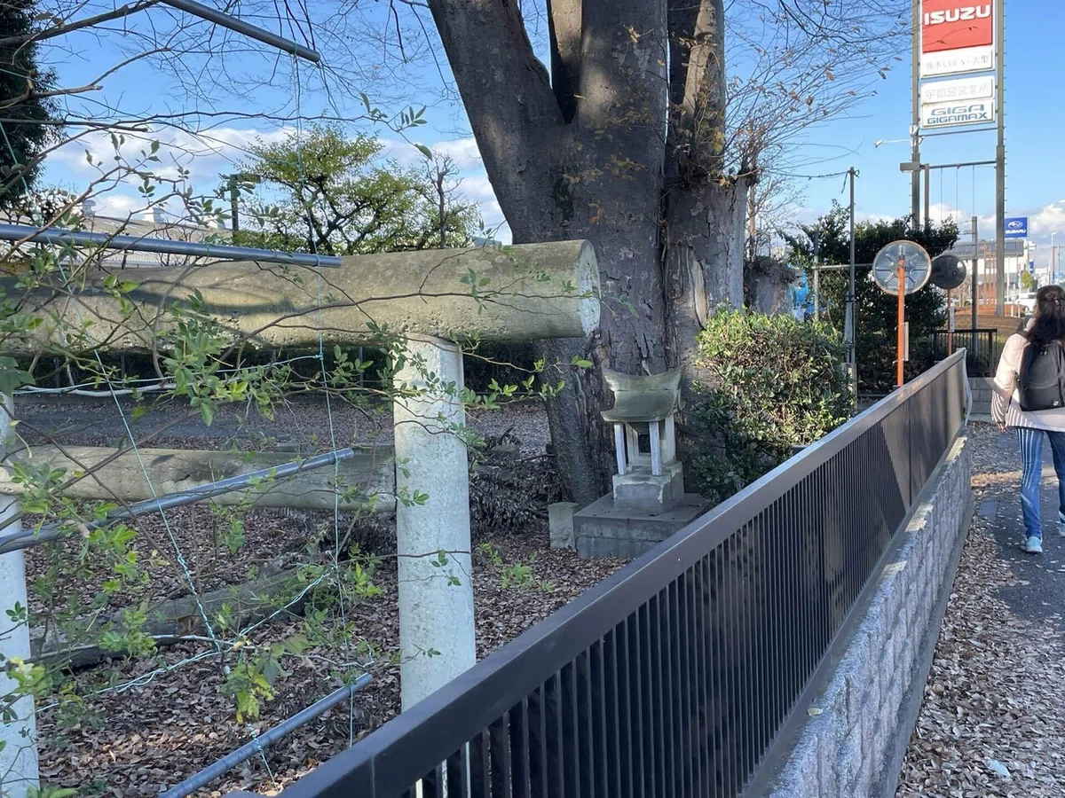 画像21
