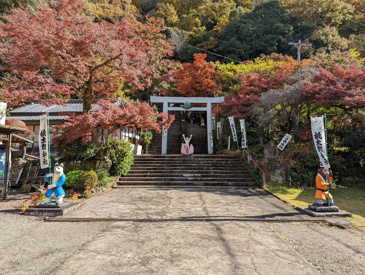 画像5