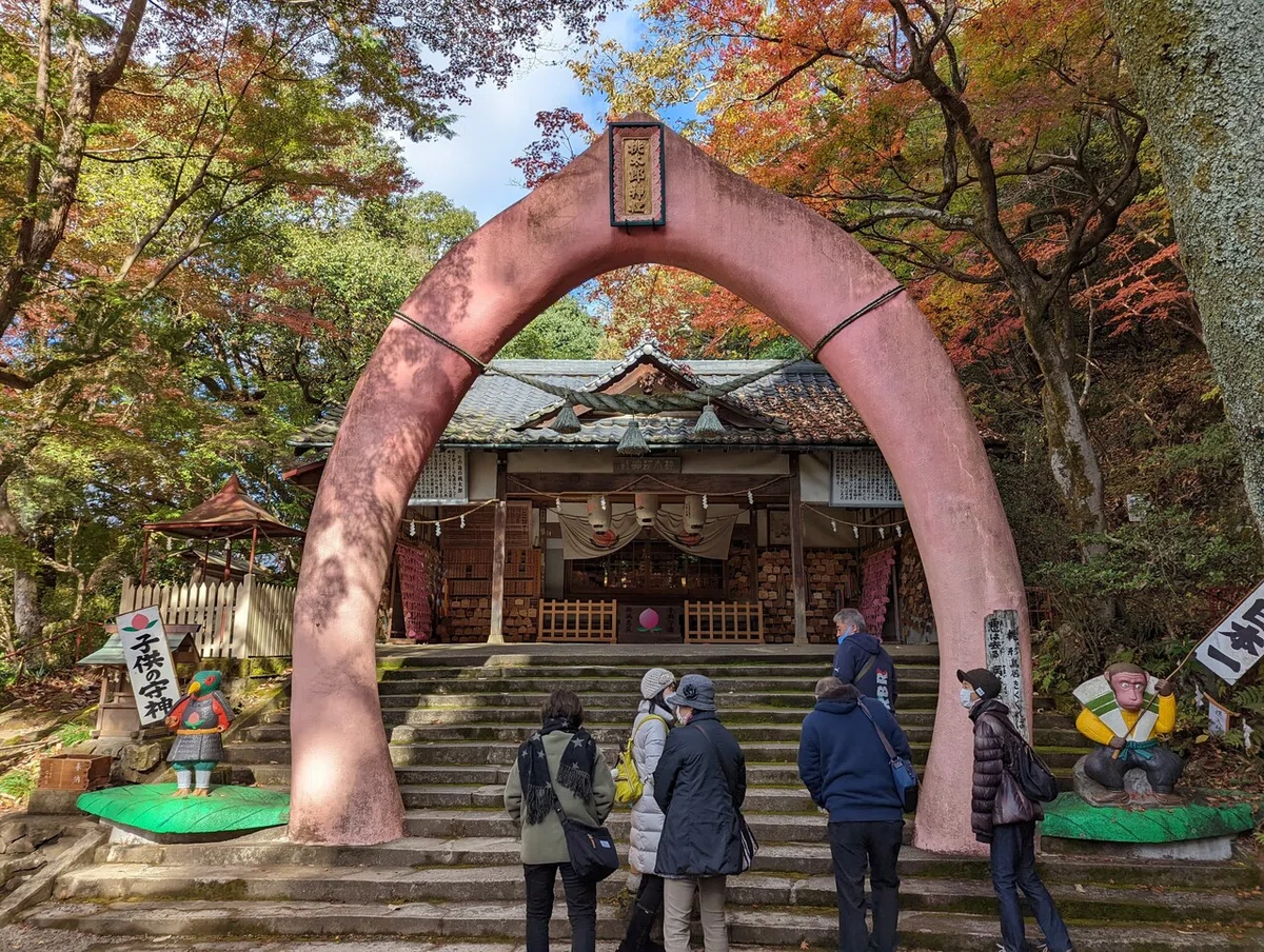 画像12