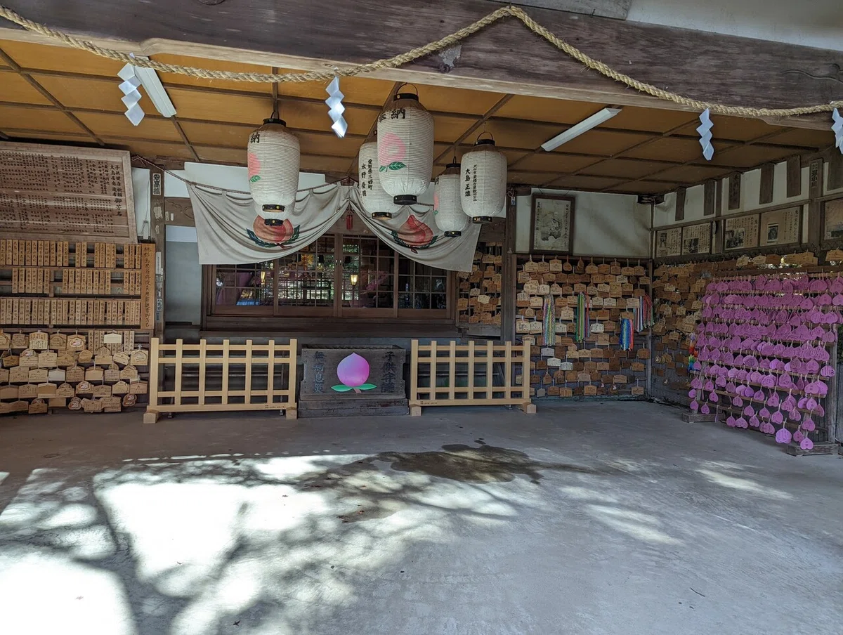 画像13