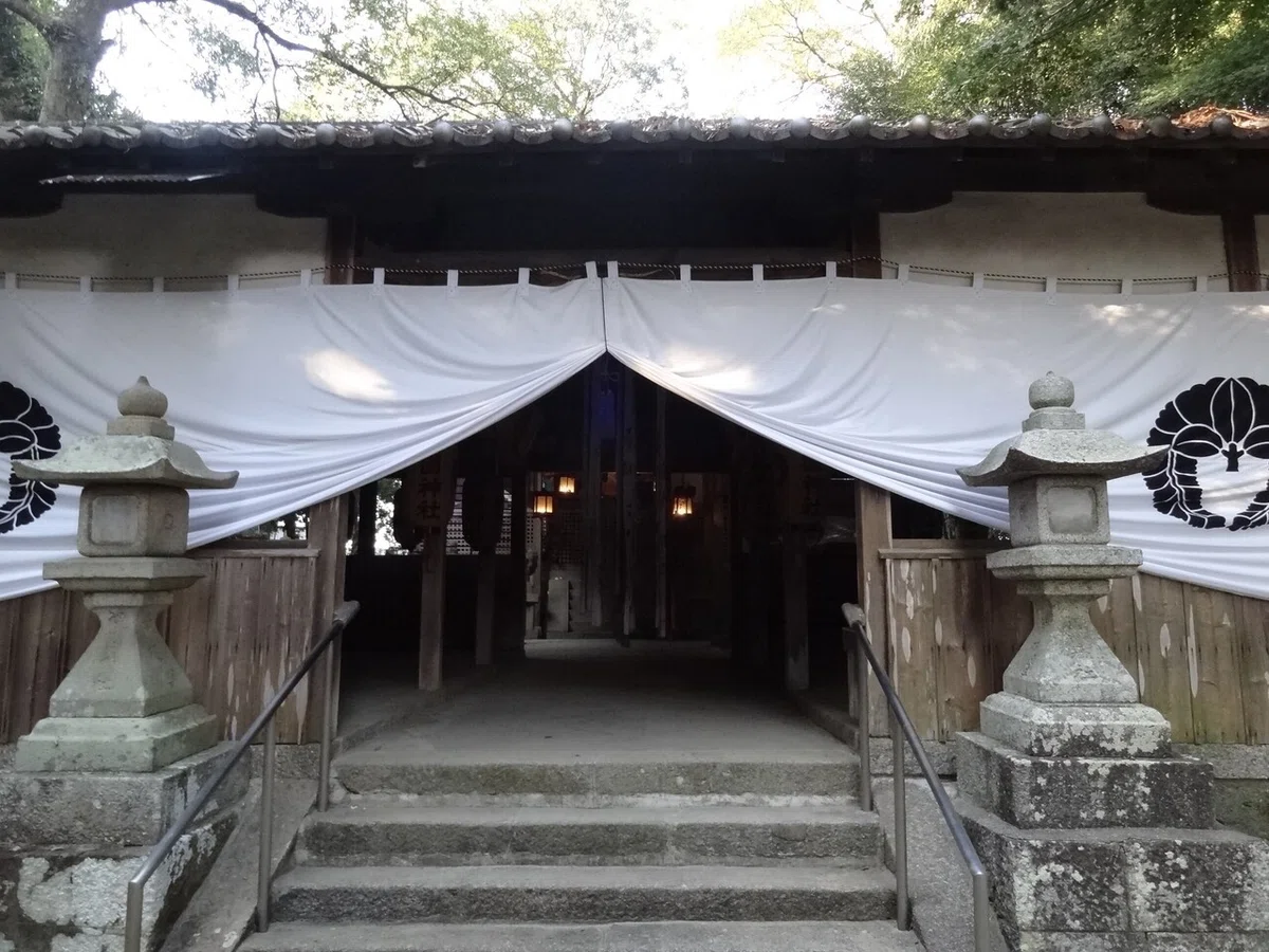 画像8