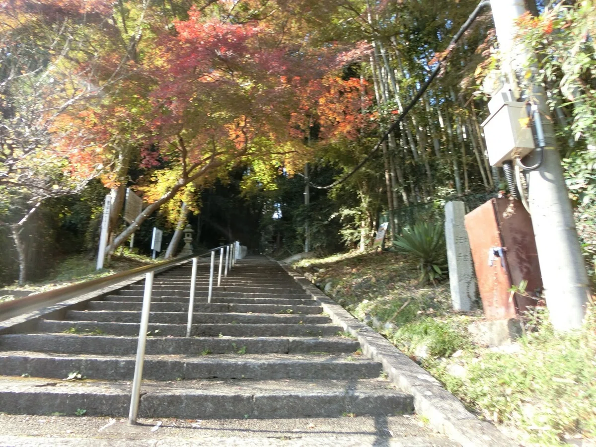 画像2
