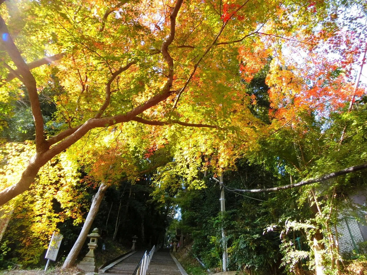 画像3